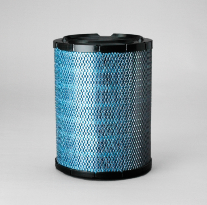 Donaldson P812175 Filter Air
